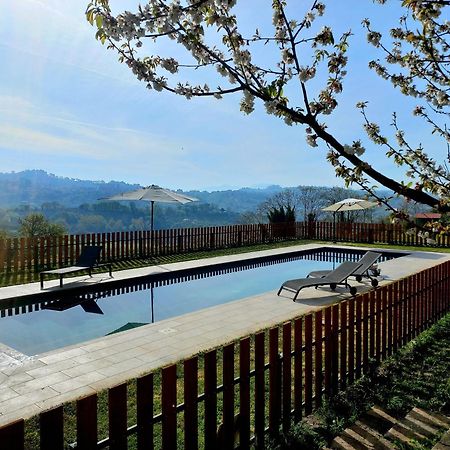 La Casa Nettarina Guest House Poggio Mirteto Exterior photo